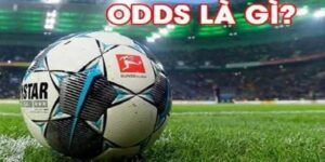 Odds la gi 1
