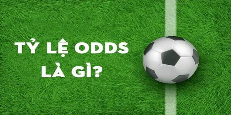 Khám phá về odds là gì trong cá cược thể thao tại Xóc Đĩa 3 Các loại phổ biến của Odds là gì?