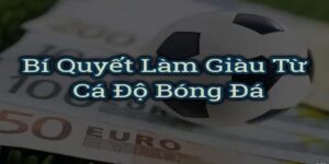 lam giau tu ca do bong da 1